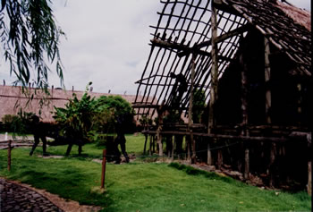δ-1.jpg